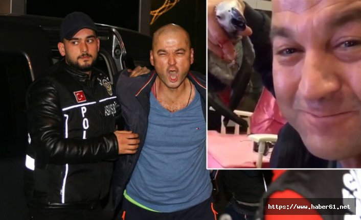 Papağana işkence davasında karar çıktı!