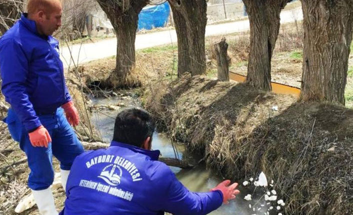 Larvalarla mücadele hız kesmiyor