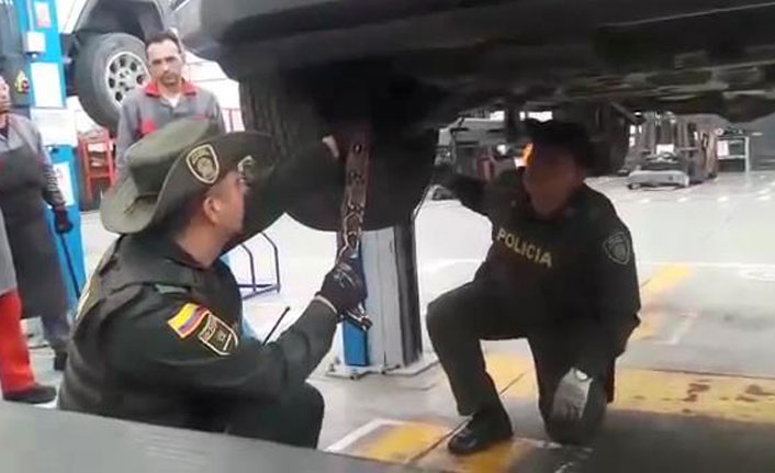 Aracındaki arıza 'boa yılanı' çıktı!