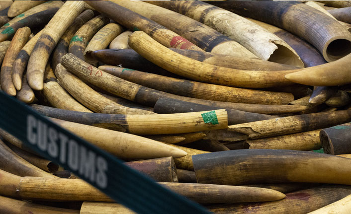 Çin'de bakın ne yakalandı!
