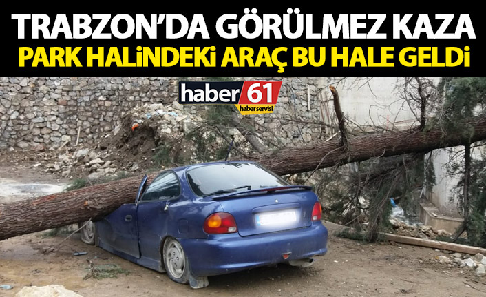Ağaç devrildi! Araç kullanılamaz hale geldi