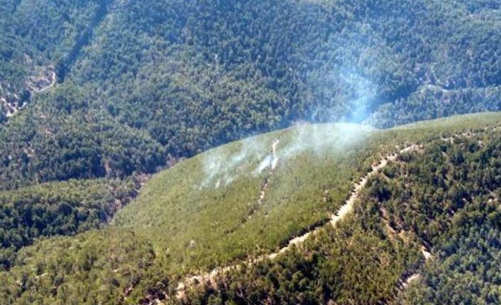 Yatağan'da orman yangını!