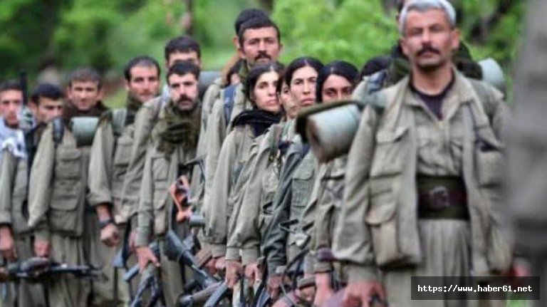 PKK paniğe kapılıp köşeye sıkıştı!