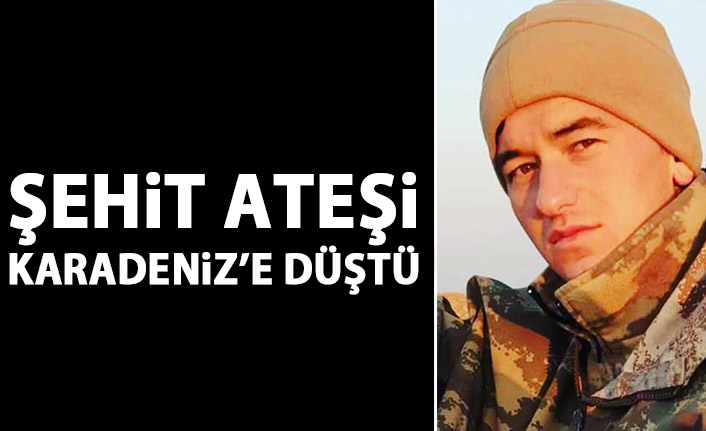 Giresunlu Piyade Er Murat Şahin Hakkari’de Şehit Oldu