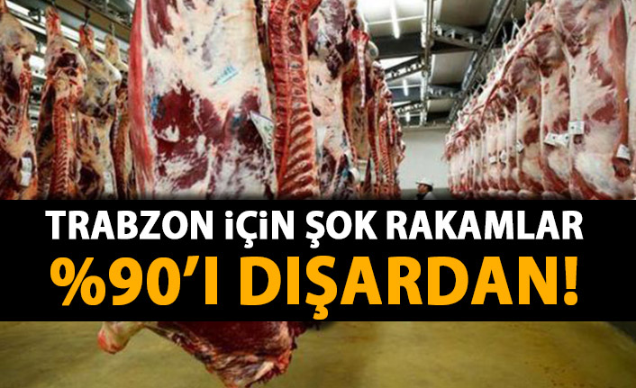 Trabzon'un et ihtiyacının tamamına yakını il dışından!