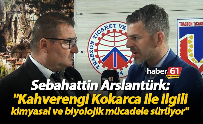 Sebahattin Arslantürk: "Kahverengi Kokarca ile ilgili kimyasal ve biyolojik mücadele sürüyor"