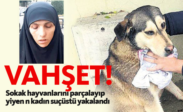 Sokak hayvanlarını parçalayıp yiyen kadın suçüstü yakalandı!