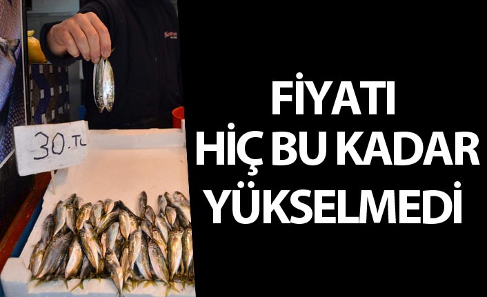 Son yıllarda fiyatı hiç bu kadar yükselmedi