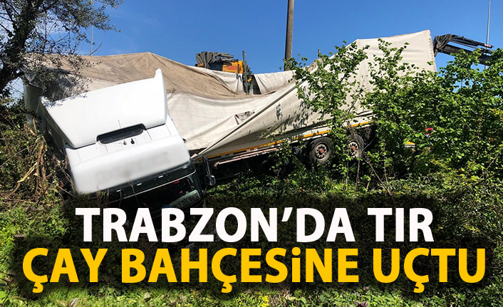 Trabzon'da tır çay bahçesine uçtu!