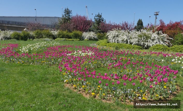 Trabzon'da ispirya şöleni