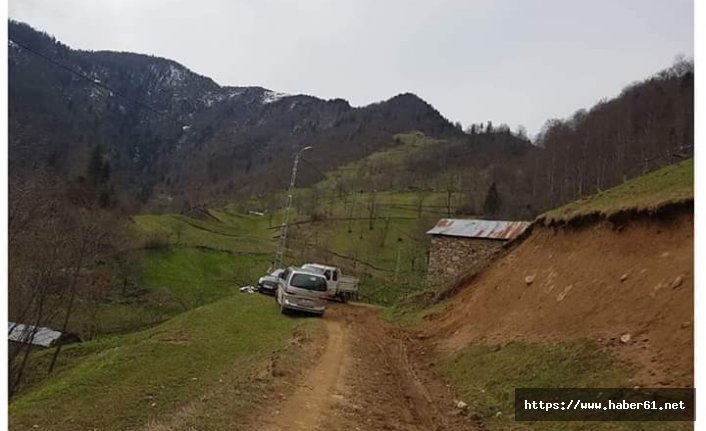 Ahıra giren ayılar 11 koyunu telef etti