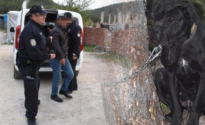 İki kişi köpeğe tecavüz etti!