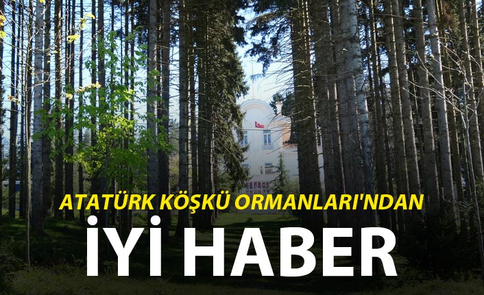 Trabzon'da Atatürk Köşkü Ormanları'ndan iyi haber
