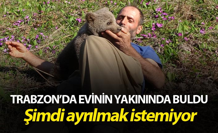 Trabzonlu'dan örnek davranış - Evinin yakınında buldu şimdi ayrılmak istemiyor