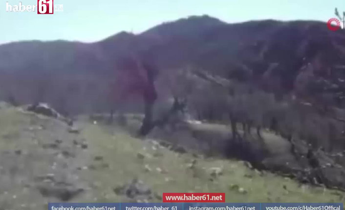 Diyarbakır'da dev terör operasyonu