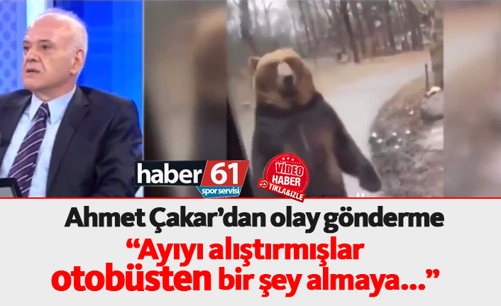 Ahmet Çakar: Ayıya alıştırmışlar otobüsten bir şeyler almaya