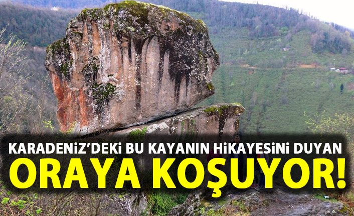 Giresun'daki sıradışı kaya herkesi şaşırtıyor