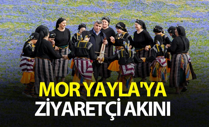 Trabzon'un Mor yaylasına ziyaretçi akını