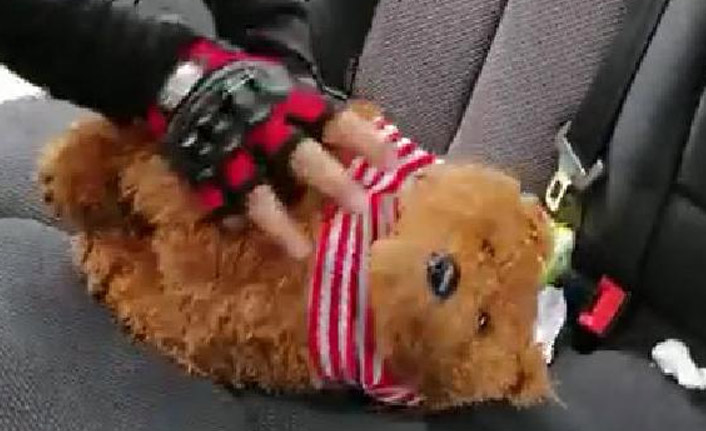 Adana'da oyuncak ayıdan silah çıktı