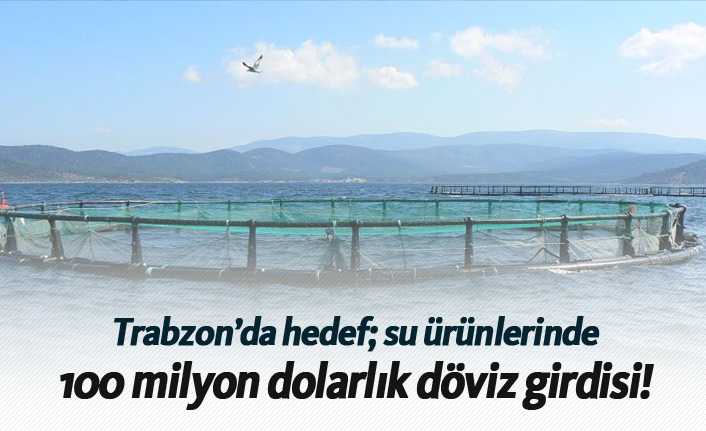 Trabzon'da hedef su ürünlerinde 100 milyon dolarlık döviz girdisi!