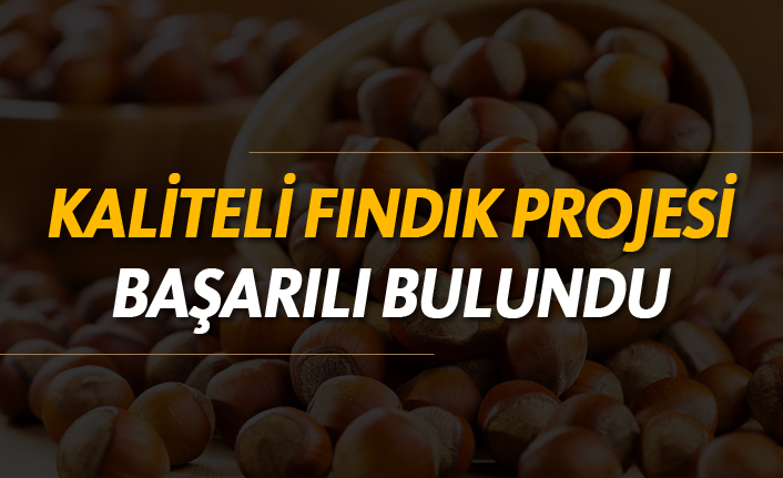 Kaliteli fındık projesi, başarılı bulundu