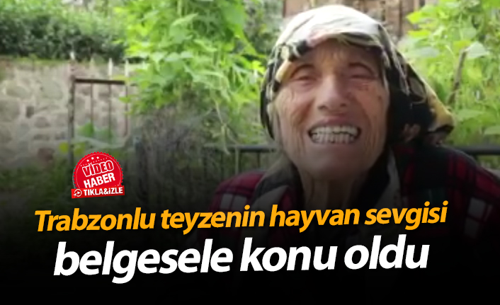 Trabzonlu teyzenin hayvan sevgisi!