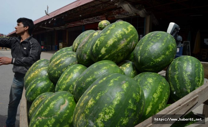 Trabzon'da karpuz fiyatı ne kadar?