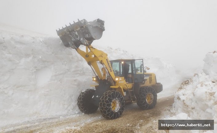 Karadeniz yaylaları yaza hazırlanıyor
