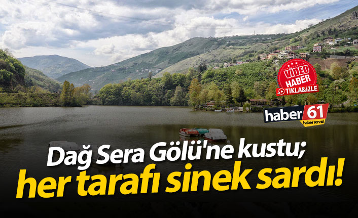 Dağ Sera Gölü'ne kustu; her tarafı sinek sardı!
