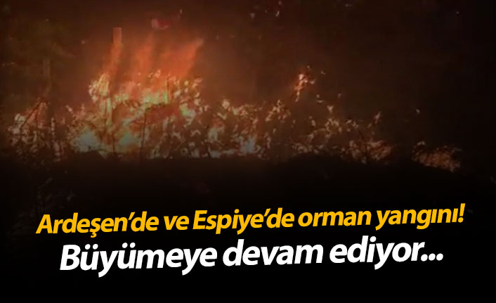 Ardeşen'de ve Espiye'de orman yangını! Büyümeye devam ediyor...