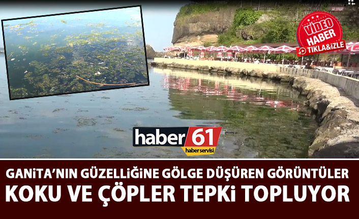 Trabzon'un incisi Ganita kokuyor!