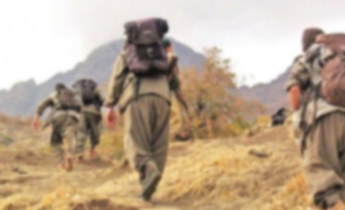 300 bin TL ödülle aranan terörist etkisiz hale getirildi