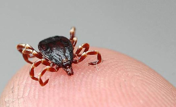 KKKA'dan 3 kişi hayatını kaybetti