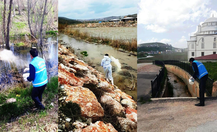 Bayburt'ta larva ilaçlama çalışması!