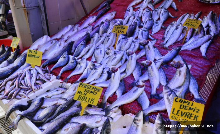 Balık fiyatları Ramazan’da düştü