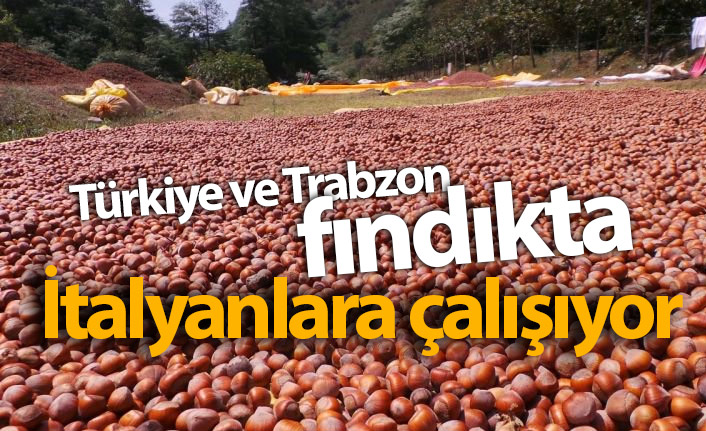 Türkiye ve Trabzon fındıkta İtalyanlara çalışıyor