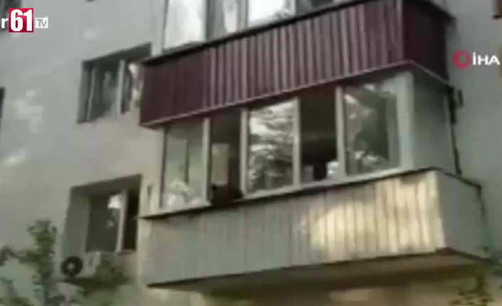 Yavru ayı balkona çıkarsa...