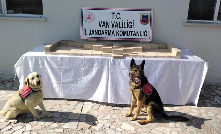 Koyun yüklü kamyonda 91 kilo eroin