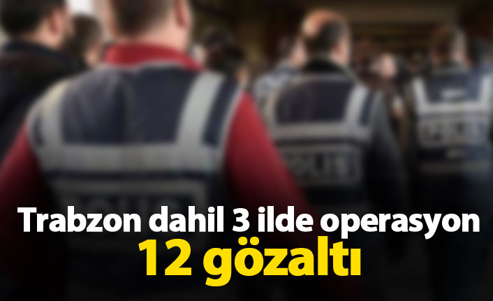 Trabzon dahil 3 ilde operasyon 12 gözaltı