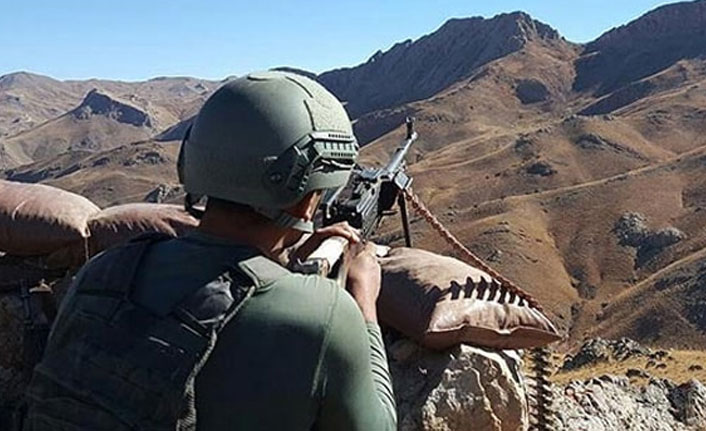 Şırnak'ta 2 terörist etkisiz hale getirildi