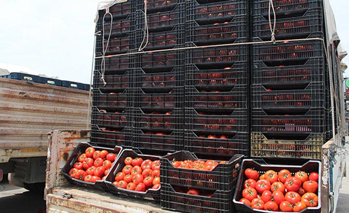 Domates 1 liraya kadar düştü