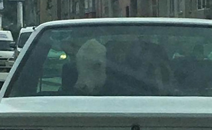 Bu otomobili gören bir daha baktı!