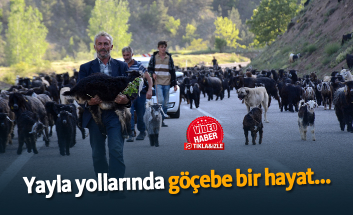 Yayla yollarında göçebe bir hayat...