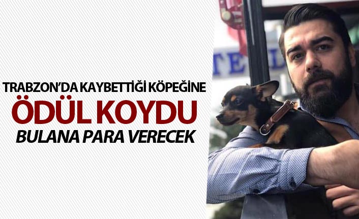 Trabzon'da kaybettiği köpeğine ödül koydu