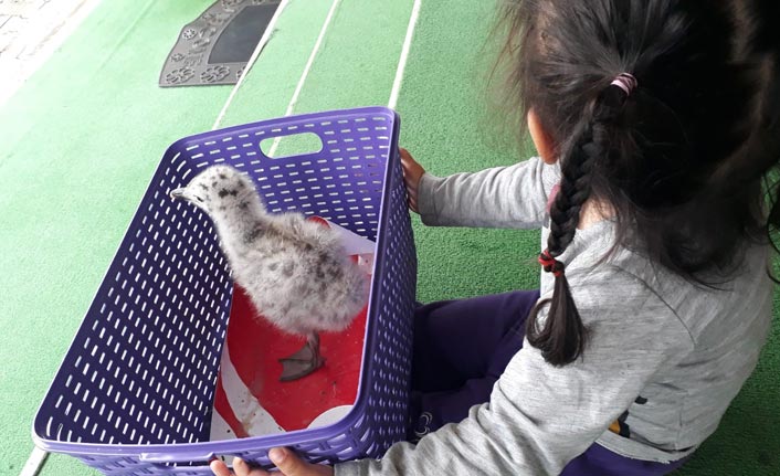 Trabzon'da kimsesiz yavrunun kimsesi oldular