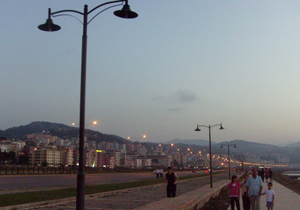 Sahil yoluna lamba dayanmıyor