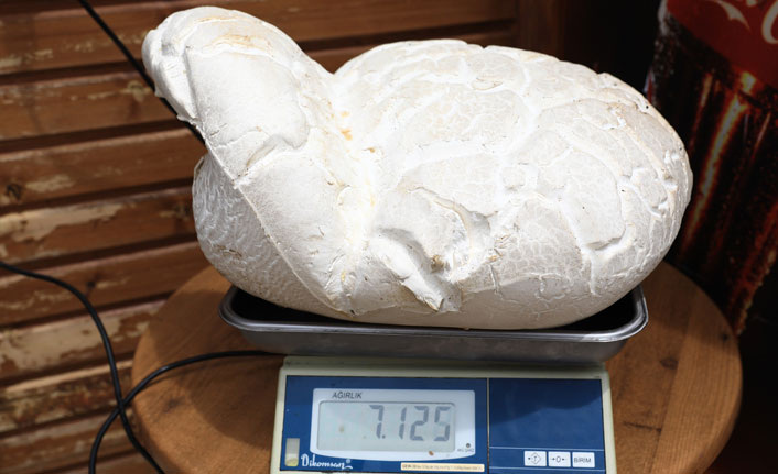 "Tombak" görenleri şaşırttı