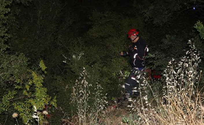 Yaralı domuz panik yarattı