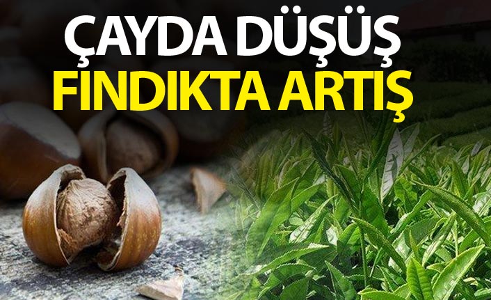 Çayda düşüş Fındıkta artış