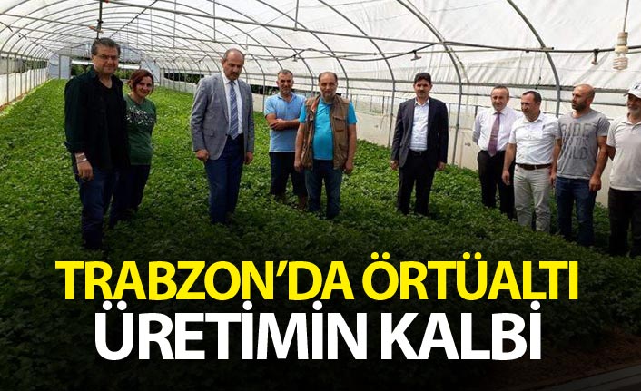 Trabzon’da örtüaltı üretimin kalbi